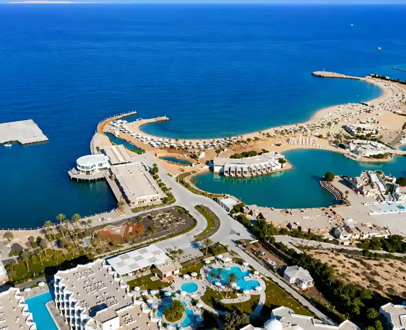 ChatGPT Image 3 يونيو 2026، 12_50_13 ص