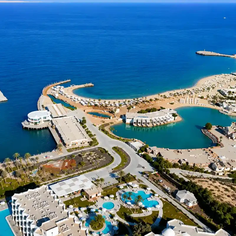 ChatGPT Image 3 يونيو 2026، 12_50_13 ص