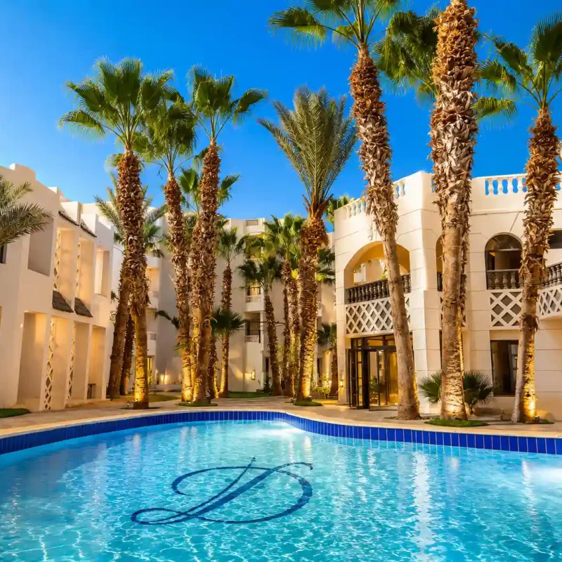 ChatGPT Image 4 يونيو 2026، 10_53_53 م