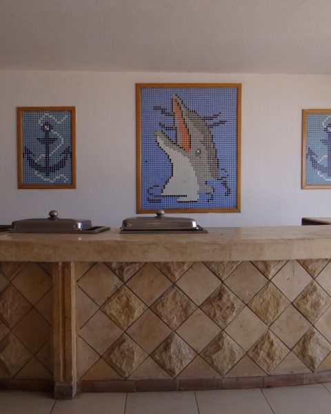DSC02655